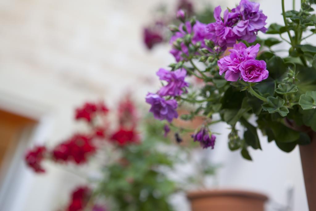 Bed and Breakfast 19Venti Lecce Zewnętrze zdjęcie